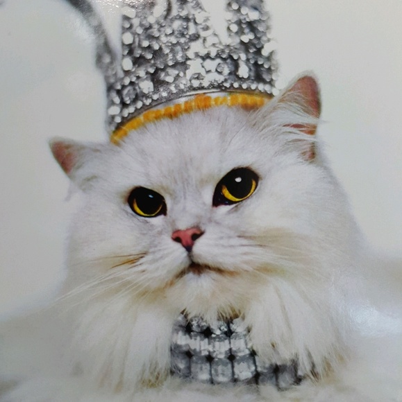 Meet your Posher, Jessica - Picture 1 of 1